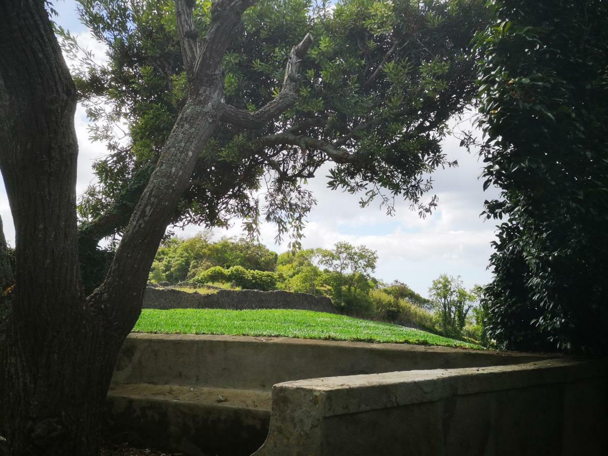 Quinta Das Camelias - Acores Ponta Delgada Dış mekan fotoğraf